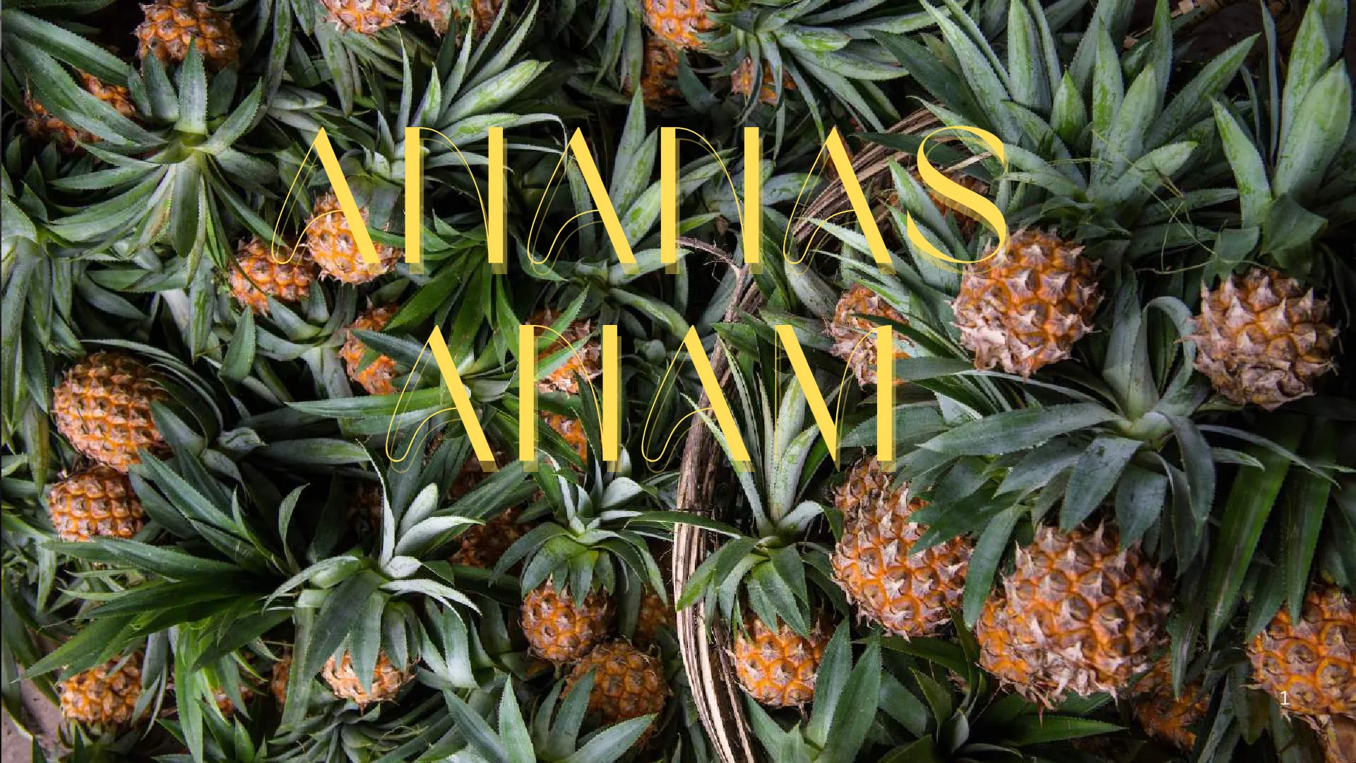 Cover of the deck: “Ananas Anam”, over a field of pineapples